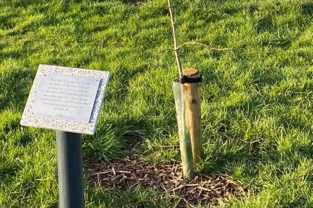 The plaque has now been placed next to the 'Tree of Hope' in Holton le Clay.