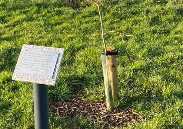 The plaque has now been placed next to the 'Tree of Hope' in Holton le Clay.