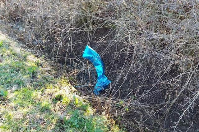 A party balloon found tangled in a ditch around Heckington by Tim Grigg. EMN-210403-174402001