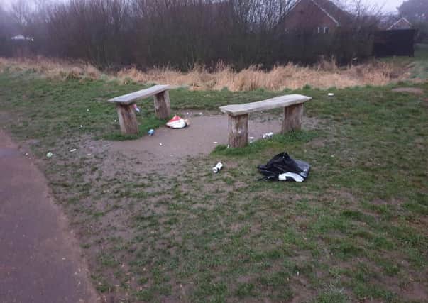 Litter left by louts alongside the riverside path of the River Slea at Rauceby Banks. EMN-210403-174341001