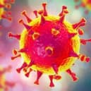 Coronavirus stock image.