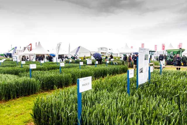 Stands at the Cereals Show in Boothby Graffoe EMN-211103-140343001