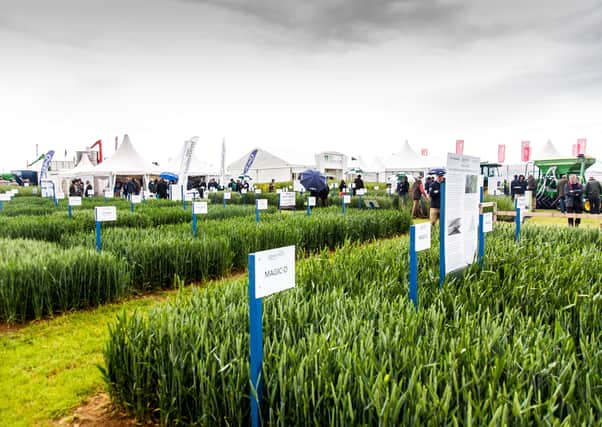 Stands at the Cereals Show in Boothby Graffoe EMN-211103-140343001