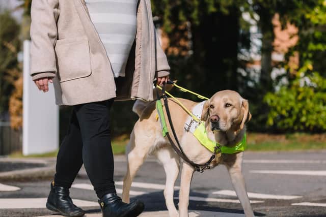 Guide Dogs for the Blind are in desperate need of volunteers to raise funds so more amazing partnerships can be formed.