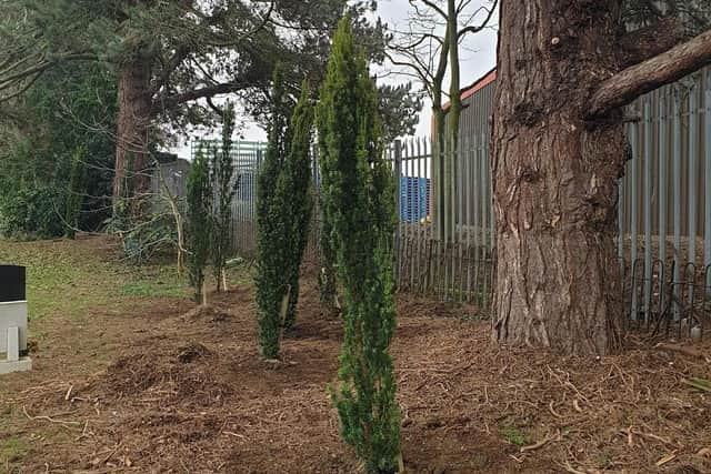 New trees at Heckington Cemetery. EMN-210313-134205001