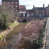 The mill pond area has become overgrown and is ‘a disgrace’ to the town EMN-210315-161027001