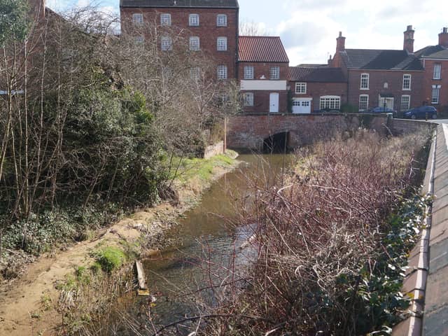 The mill pond area has become overgrown and is ‘a disgrace’ to the town EMN-210315-161027001