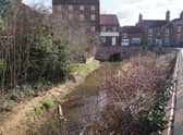 The mill pond area has become overgrown and is ‘a disgrace’ to the town EMN-210315-161027001