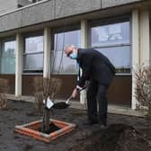 Trust CEO Andrew Morgan plants the tree