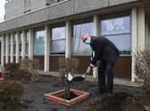 Trust CEO Andrew Morgan plants the tree