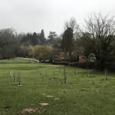 The community orchard in Westgate Fields, Louth. (Photo: ELDC).