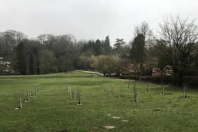 The community orchard in Westgate Fields, Louth. (Photo: ELDC).
