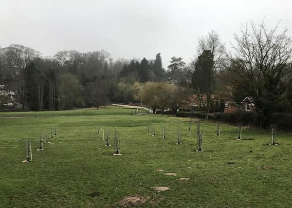 The community orchard in Westgate Fields, Louth. (Photo: ELDC).