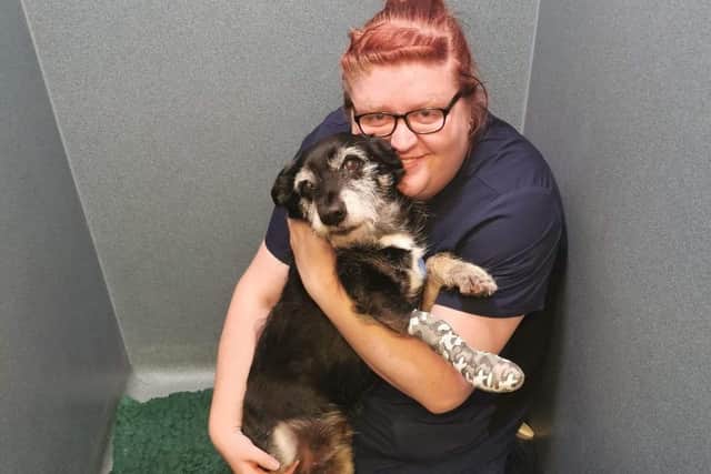 Alana Taylor, vet nurse at Vets Now emergency clinic in Lincoln