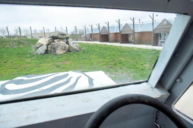 Looking into the lion enclosure from a Safari Jeep - with toughened glass of  course