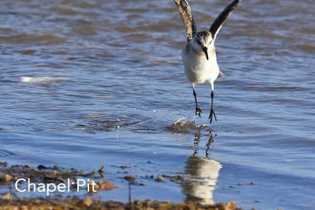 Chapel Point is featured on the Visit Lincolnshire website promoting the natural coast.