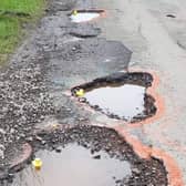 Potholes on the road through the old Firsby aerodrome have not only been painted by 'Bugsy' Karan Chapman - she's put ducks in them.