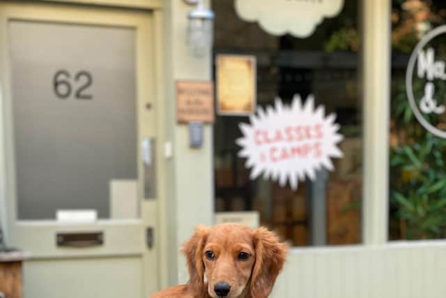 Research shows puppies have helped their owners cope throughout the Covid-19 pandemic. EMN-210322-124809001