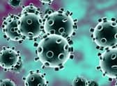 Coronavirus