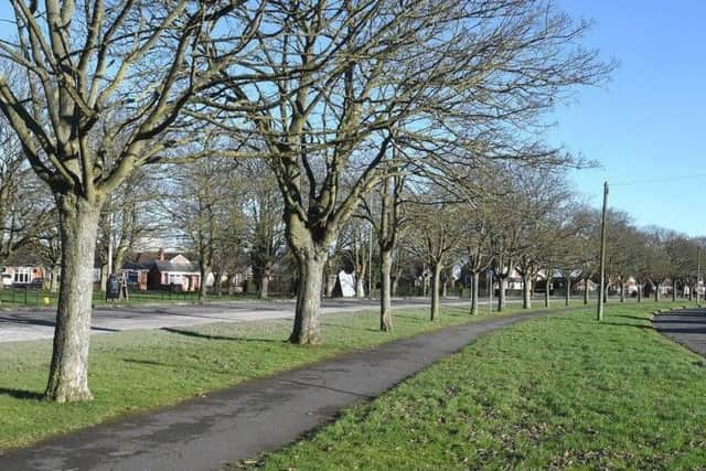 Skegness Town Council took over cutting grass verges in the town in 2017.