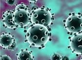 Coronavirus stock image
