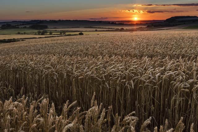 Belchford