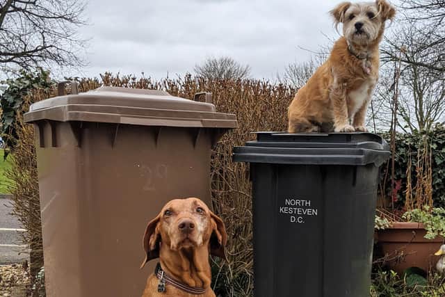 Bin collection days will be different over Easter. EMN-210330-100738001