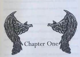 Abbie used her Art skills to illustrate the book. EMN-210104-103823001