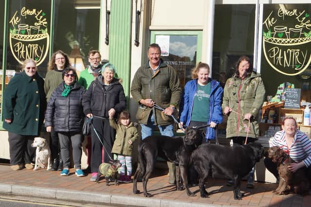 Green Dog Scheme