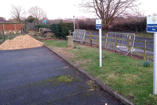 All that remains of two of the trees felled which has led to the school producing a detailed response.