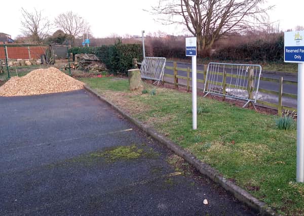 All that remains of two of the trees felled which has led to the school producing a detailed response.