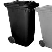 Refuse and recycling bins (stock image).