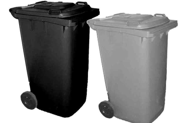 Refuse and recycling bins (stock image).