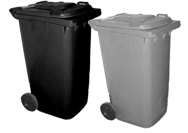 Refuse and recycling bins (stock image).