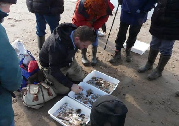 Dr Jack Sewell of the Marine Biology Association, looking at the biodiversity of the beach north of Mablethorpe with the Bell Beach Biology citizen science group.