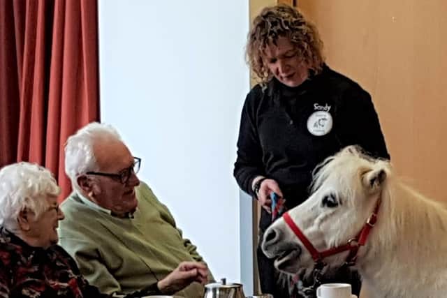 Residents love meeting the ponies.