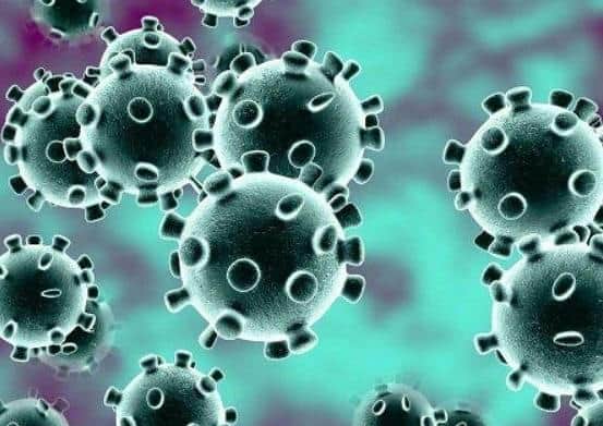 Coronavirus.