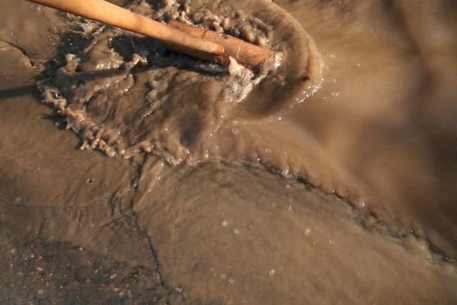 The four-inch bristles on this brush disappear under the water, due to the depth of the pothole.