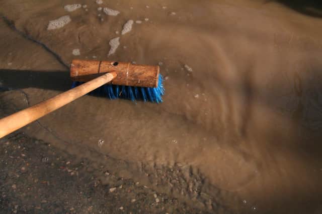 The four-inch bristles on this brush disappear under the water, due to the depth of the pothole.