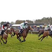A crowded Market Rasen Racecouse on Boxing Day. Picture: Steven Cargill / Racingfotos.com EMN-200323-123910002