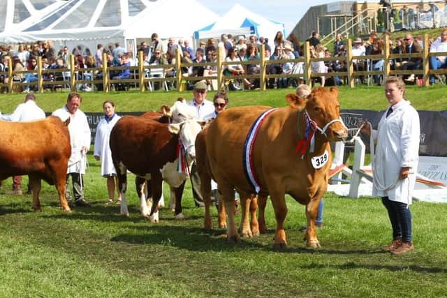 Fatstock parade is the highlight of the Lincolnshire Show