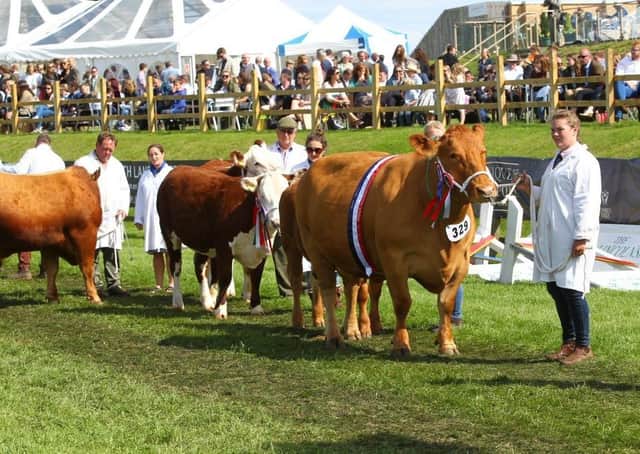 Fatstock parade is the highlight of the Lincolnshire Show