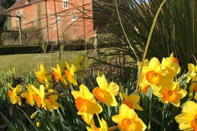 Spring at Gunby.