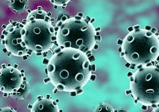Coronavirus.