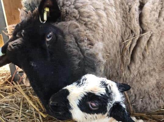 Proud mum - time for a face wash.