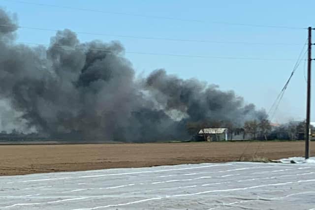 The fire at Johnson's Garden Centre this morning Picture by Charles Turner