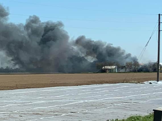 The fire at Johnson's Garden Centre this morning Picture by Charles Turner