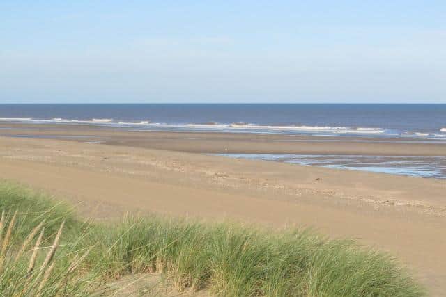 Plans have been announced for part of the coast between Chapel St Leonards and Sutton-on-Sea to become a nature reserve.