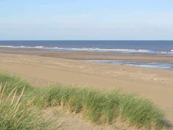 Plans have been announced for part of the coast between Chapel St Leonards and Sutton-on-Sea to become a nature reserve.