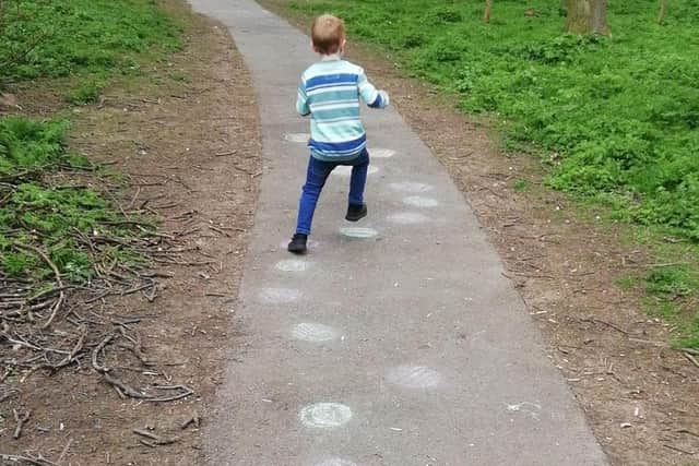 Harry hops along Vine Walk on the hunt.